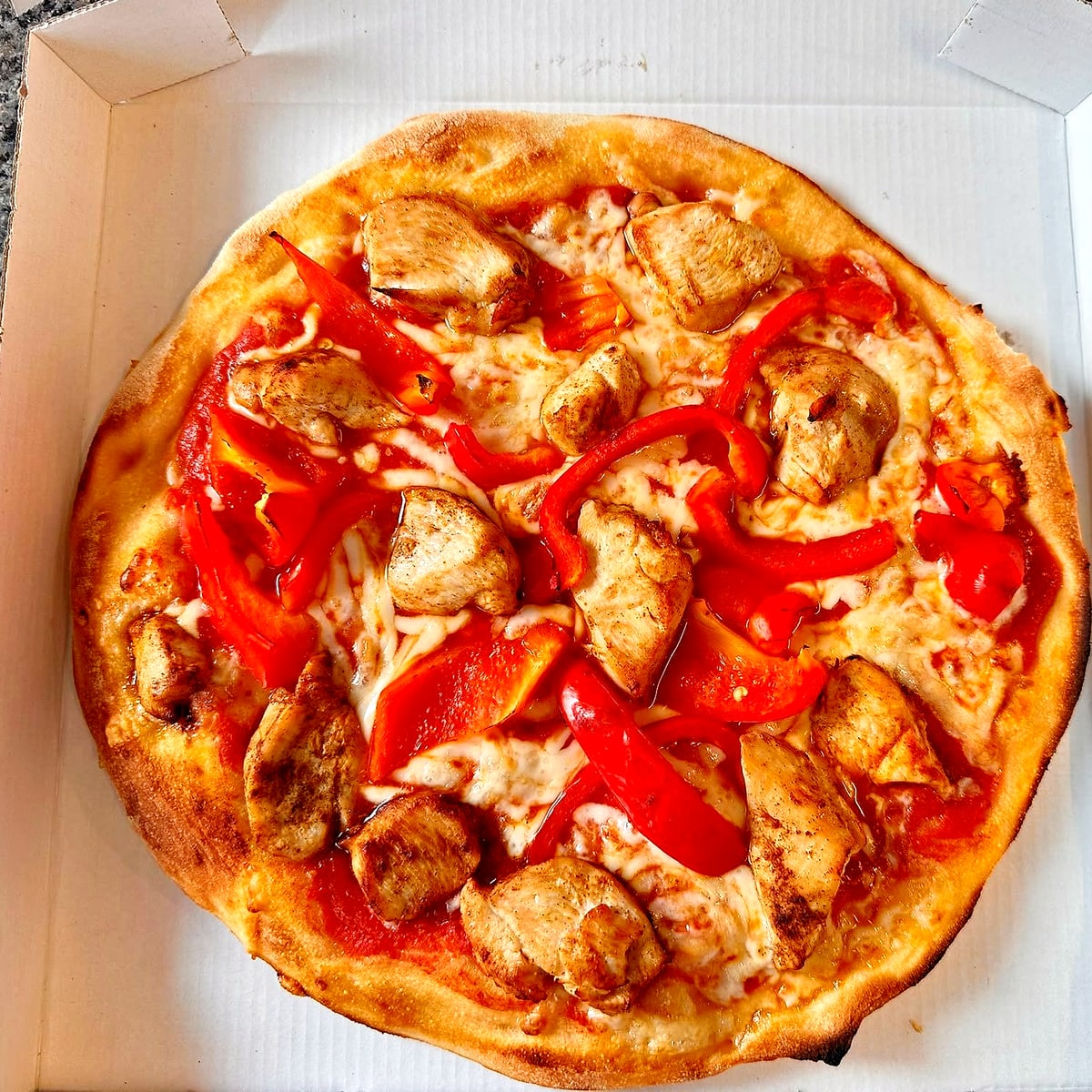 Pollo